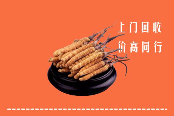 高价求购：阿勒泰地区青河回收散虫草