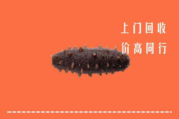 高价求购：阿勒泰地区青河回收海参