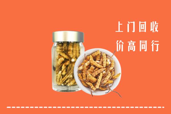 收购行情：阿勒泰地区青河回收冬虫夏草